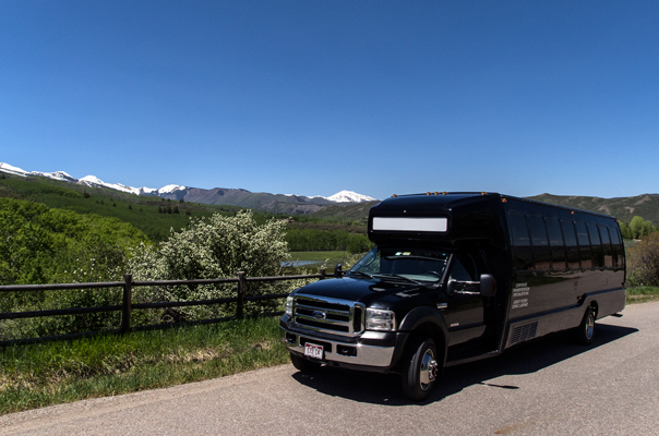 Mini-Bus-Clean